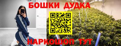 apvp Краснокаменск