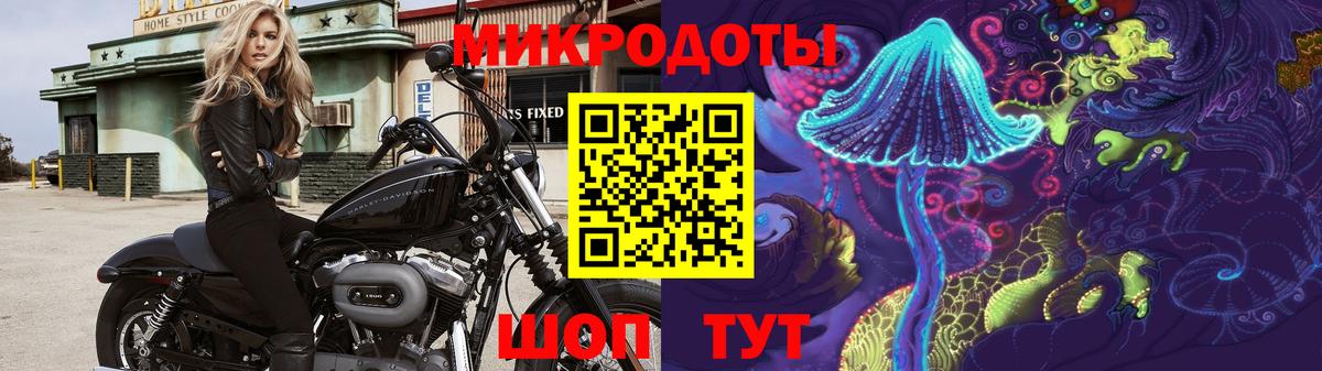 Галлюциногенные грибы Magic Shrooms Камышлов